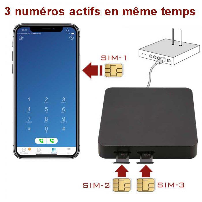 Ferrand James - Ingénierie Informatique - Box Routeur Multi-SIM pour ...